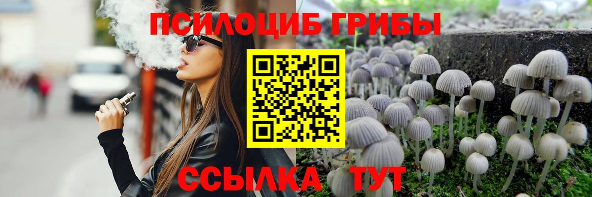 Псилоцибиновые грибы Psilocybe Новомосковск